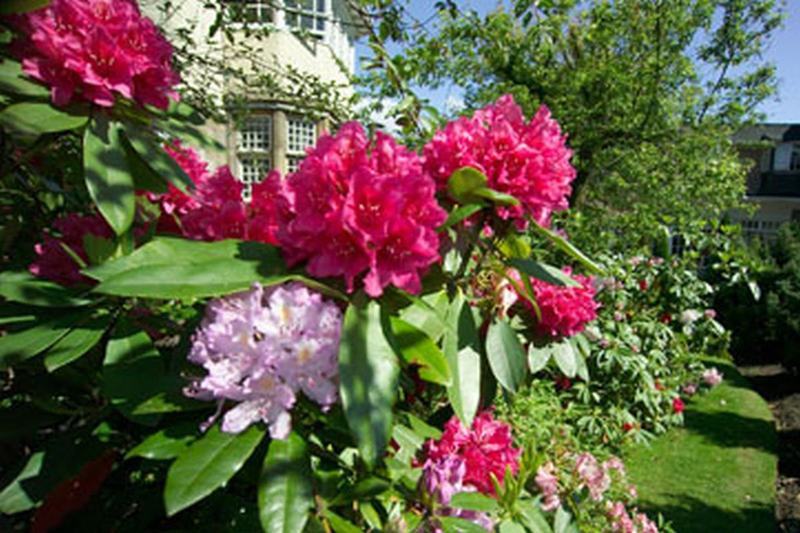Dalmeny Park House Hotel Barrhead Zewnętrze zdjęcie